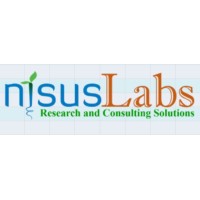 NisusLabs Research and Consulting Solutions logo - Similar company to Tracc Global Research And Consulting Pvt. Ltd.