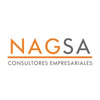 Grupo Nagsa logo - Similar company to Seimalsa
