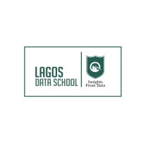 Lagos Data School logo - Similar company to Flip To Tech