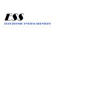 Electronic System Services