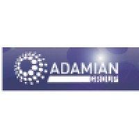 Adamian Group logo - Similar company to Adamiani