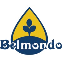 Grupo Belmondo logo - Similar company to El Caserito