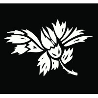 Rosebud Contemporary logo - Similar company to Lyle Gallery