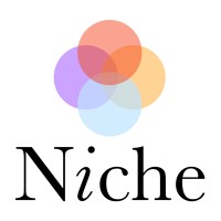 Niche logo - Similar company to Intake Conversion Experts (Ice)