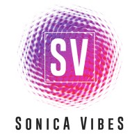 SonicA VibeS logo - Similar company to Lamastrock