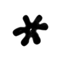 Just For Practice logo - Similar company to Litchi World