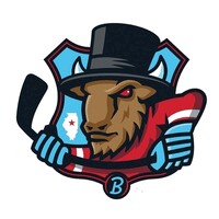 Bloomington Bison Hockey Club logo - Similar company to Cognistar