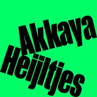 HeijltjesAkkaya logo - Similar company to Ams Studio
