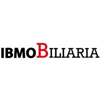 IBMOBILIARIA logo - Similar company to Ibgroup