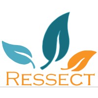 Ressect logo - Similar company to Citymap Geosystems Ltd