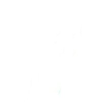 x logo - Similar company to X