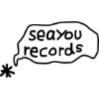 Seayou Entertainment logo - Similar company to Worcester Interactive