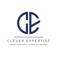 CLEVER EXPERTISE logo - Similar company to Vill@Ge