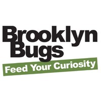 Brooklyn Bugs logo - Similar company to Dyson Grand Challenges