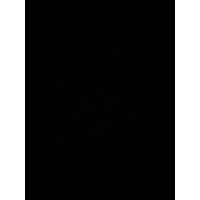 . logo - Similar company to Acont