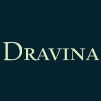 Dravina Consultancy logo - Similar company to Vivir Consultancy