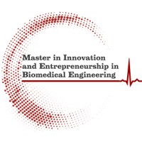 Master's Degree in Innovation and Entrepreneurship in Biomedical Engineering UB logo - Similar company to Ifamp. Institute For Applied Medical Physics