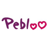 Pebloo logo - Similar company to M.T.S. Foundation