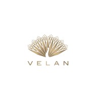 Velan Capital logo - Similar company to Brahma Capital
