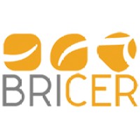 Bricer logo - Similar company to Socilink