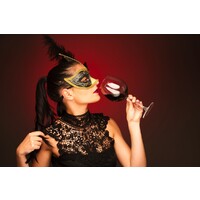 Secret Wine logo - Similar company to Pro-Translation Srl