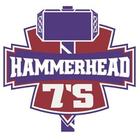 Hammerhead 7s logo - Similar company to Auddy