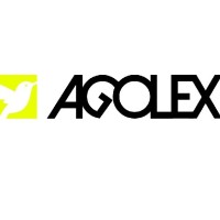 Agolex UG (haftungsbeschränkt) logo - Similar company to Gpi Consulting Gmbh