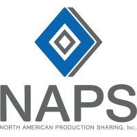 IT Recruitment Naps Bajio logo - Similar company to It Recruiting Software
