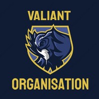 Valiant Marketing logo - Similar company to Bloomingcore