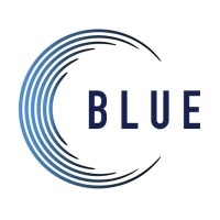 The Blue Agency logo - Similar company to Wiseup Creative
