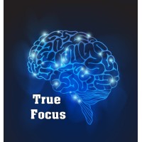 True Focus logo - Similar company to Truefocus Automation