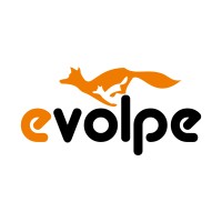 eVolpe Consulting Group logo - Similar company to Minthcm