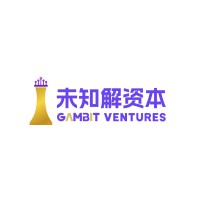 Gambit Ventures（未知解资本） logo - Similar company to Equigenesis Corporation