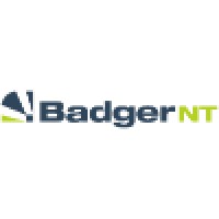 Badger Network Technology logo - Similar company to D O A - Tecnologie Per L' Ambiente E Per L' Industria