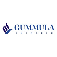 Gummula Infotech logo - Similar company to Anagha Solutions Inc
