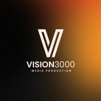 Vision 3000 logo - Similar company to Diarush Dmcc
