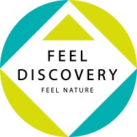 FEEL DISCOVERY logo - Similar company to Evolveqx