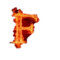 Fraudection logo - Similar company to Cesfin