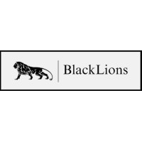 The Blacklions Group logo - Similar company to Lender Loop