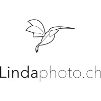 Linda Photography logo - Similar company to Spid Tech