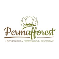 Permafforest logo - Similar company to Agence Phoenix
