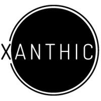 Xanthic Executive Search logo - Similar company to Bestacking