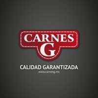 CARNES G logo - Similar company to Debug Experts