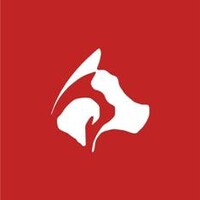 PETS & VETS CLINIC logo - Similar company to Pets & Vets