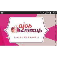 NEXUS COMPANY IMPORT EXPORT SL logo - Similar company to Export Ferron Sl
