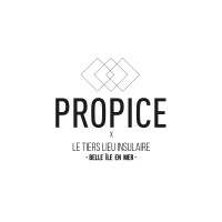 Propice logo - Similar company to Bear Architecture