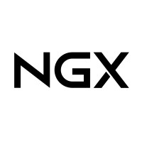 NGX - Soluções em Inteligência Artificial logo - Similar company to Laboratório  De Inteligência Artificial E Arquiteturas Dedicadas