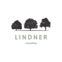 Lindner consulting logo - Similar company to Lindner Software & Consulting Gmbh