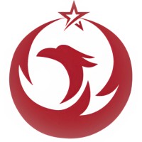 Phoenix Star Insurance Agency logo - Similar company to Careassist Services
