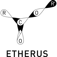 Etherus -  we are unlocking biofuels market logo - Similar company to Featvalue Gmbh